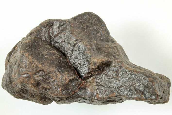 Chondrite Meteorite ( g) - Western Sahara Desert #233216